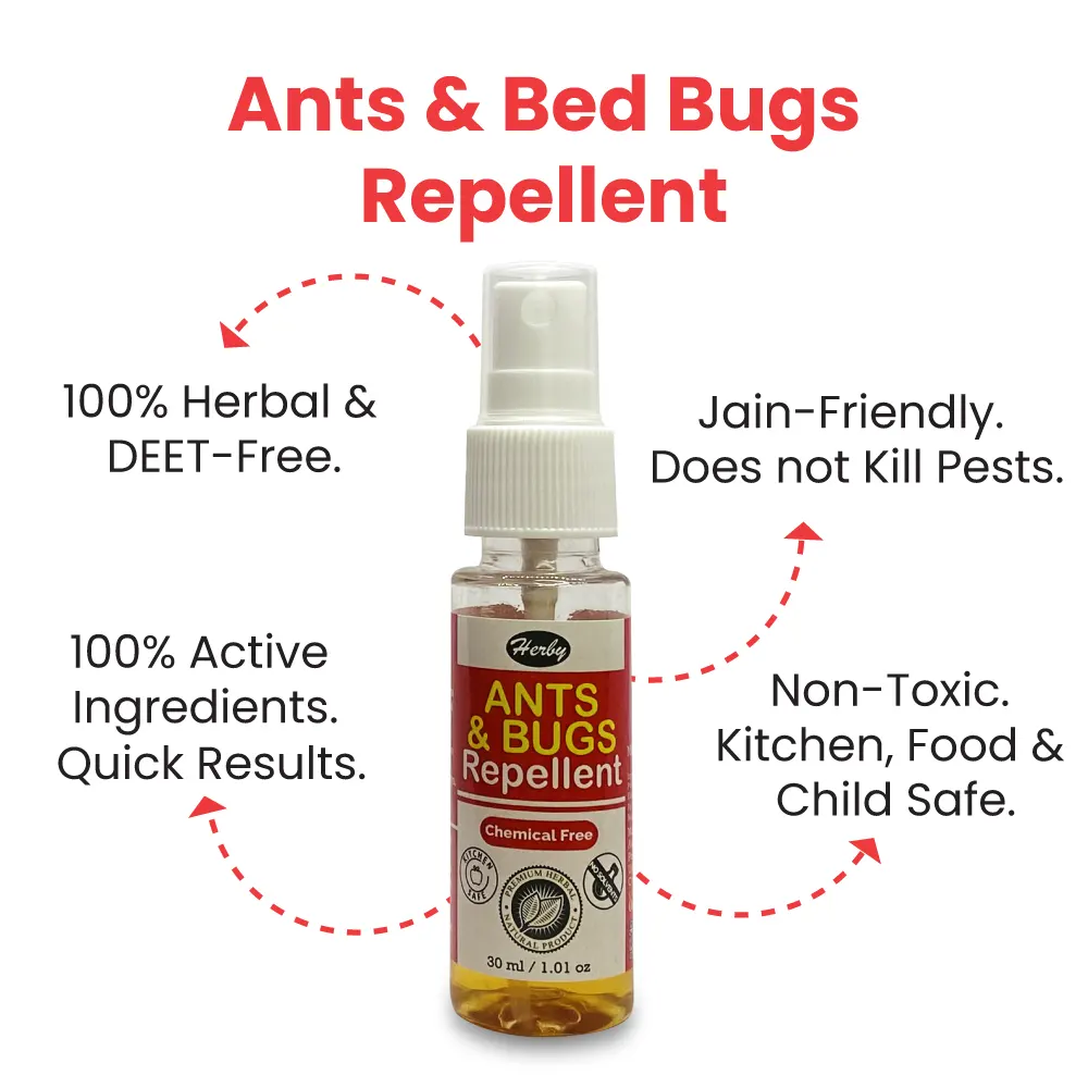 100ml-ant-1-.webp