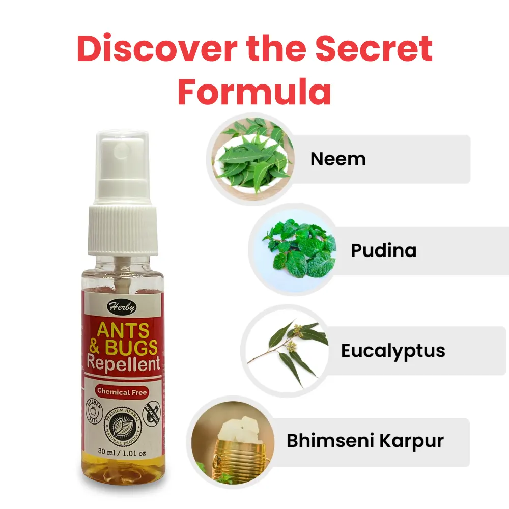 100ml-ant-2-.webp